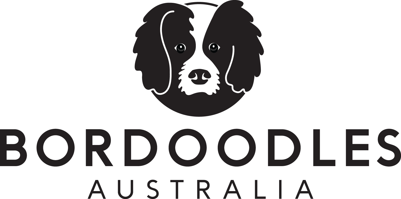Bordoodles Australia